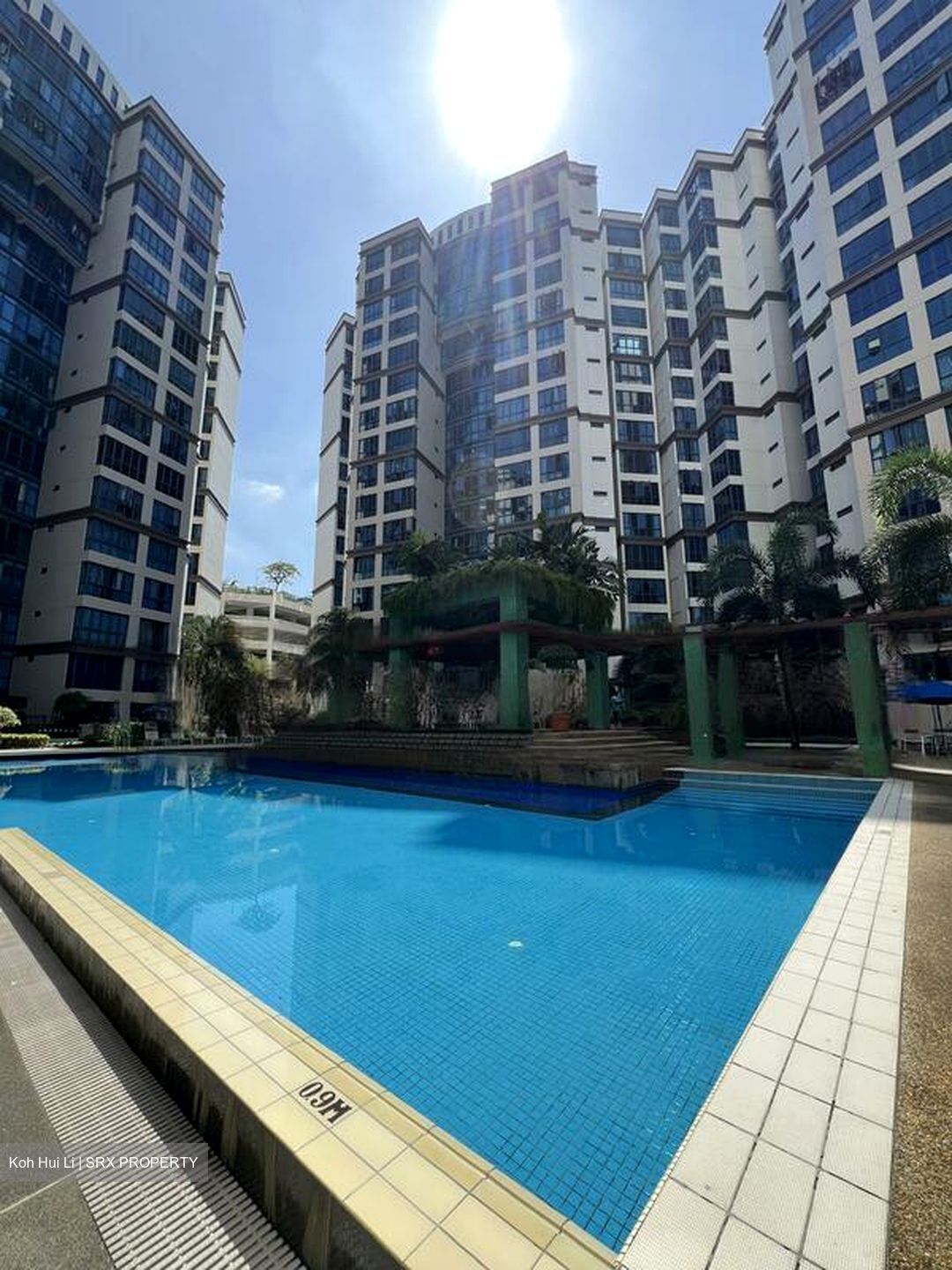 Regent Grove (D23), Condominium #563517381